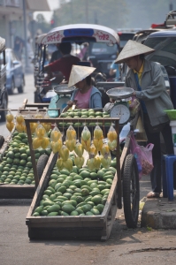 sprzedawcy mango