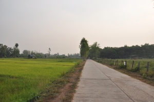 droga wsrod pol ryzowych